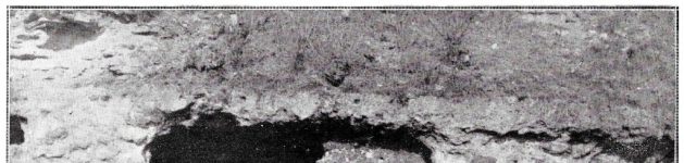 1561 jours – Général Ancelin : 25 janvier 1915